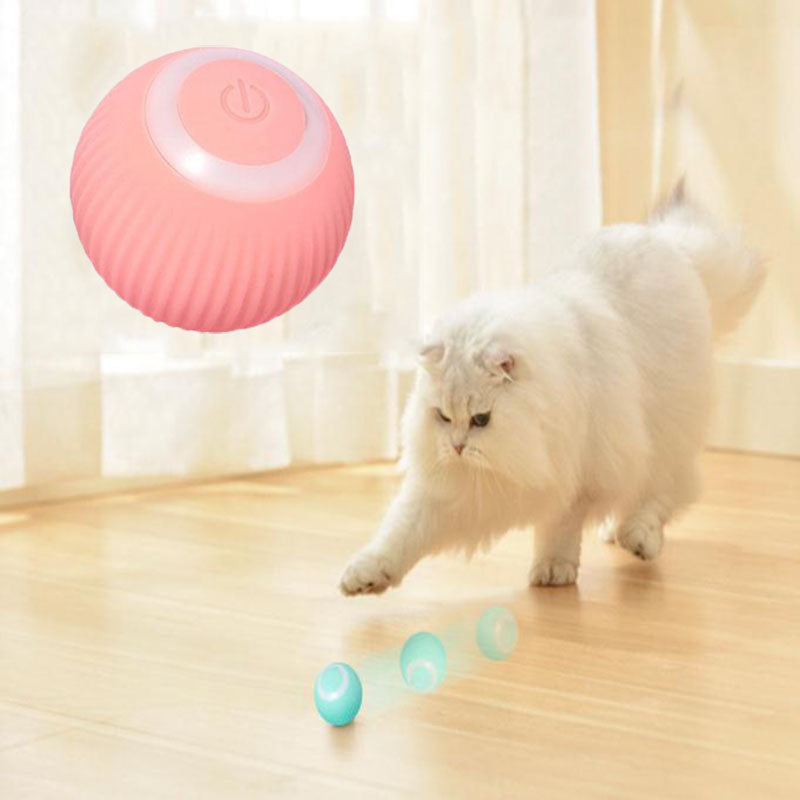 Furry Paw Interactive Ball
